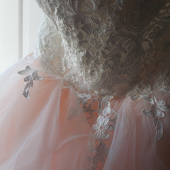 COPY - Emily Hart Bridal Lace Pink Gown Dress Wedding - Picture 13 of 15